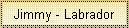 Jimmy - Labrador