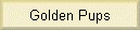 Golden Pups