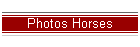 Photos Horses